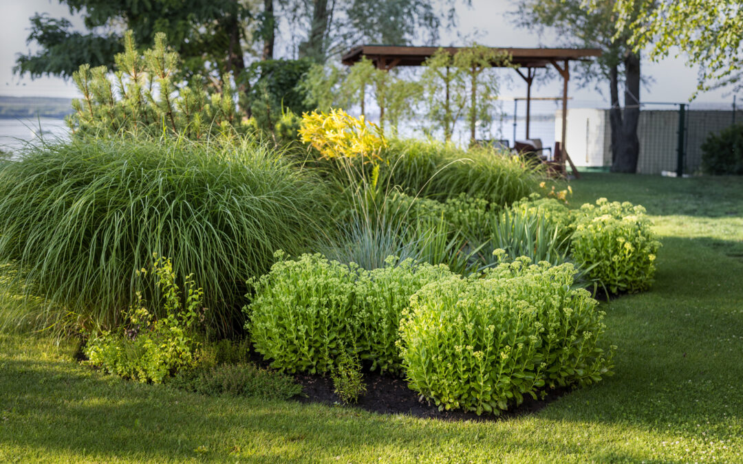 Come curare il giardino in inverno, primavera ed estate